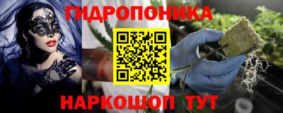 прущие крисы Лесосибирск