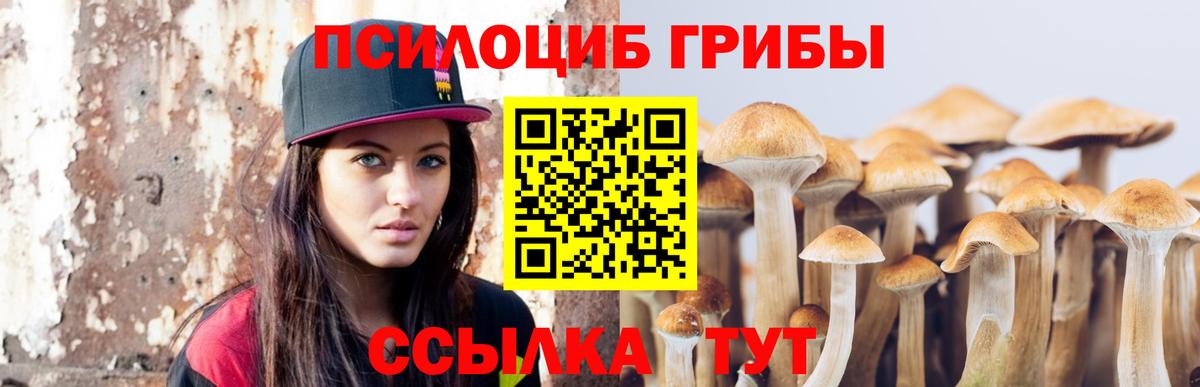 Псилоцибиновые грибы мицелий Щёкино