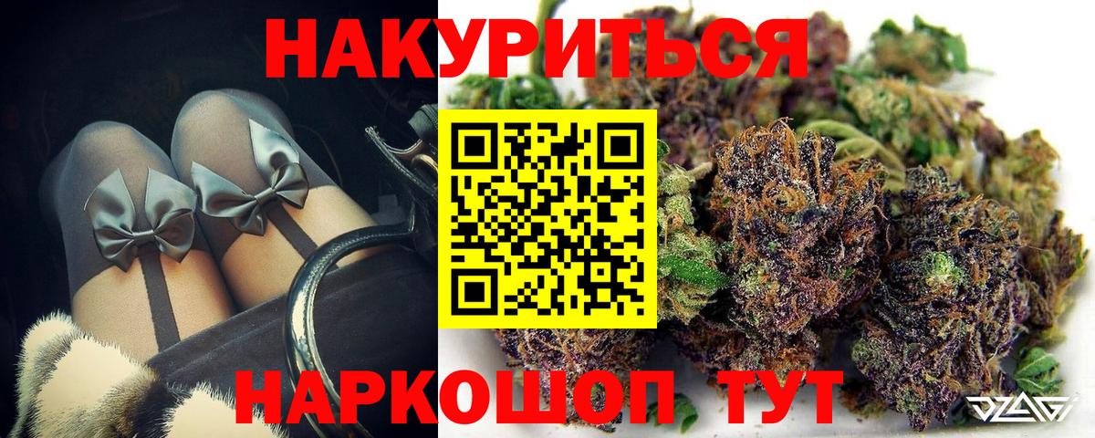 Конопля гибрид Щёкино